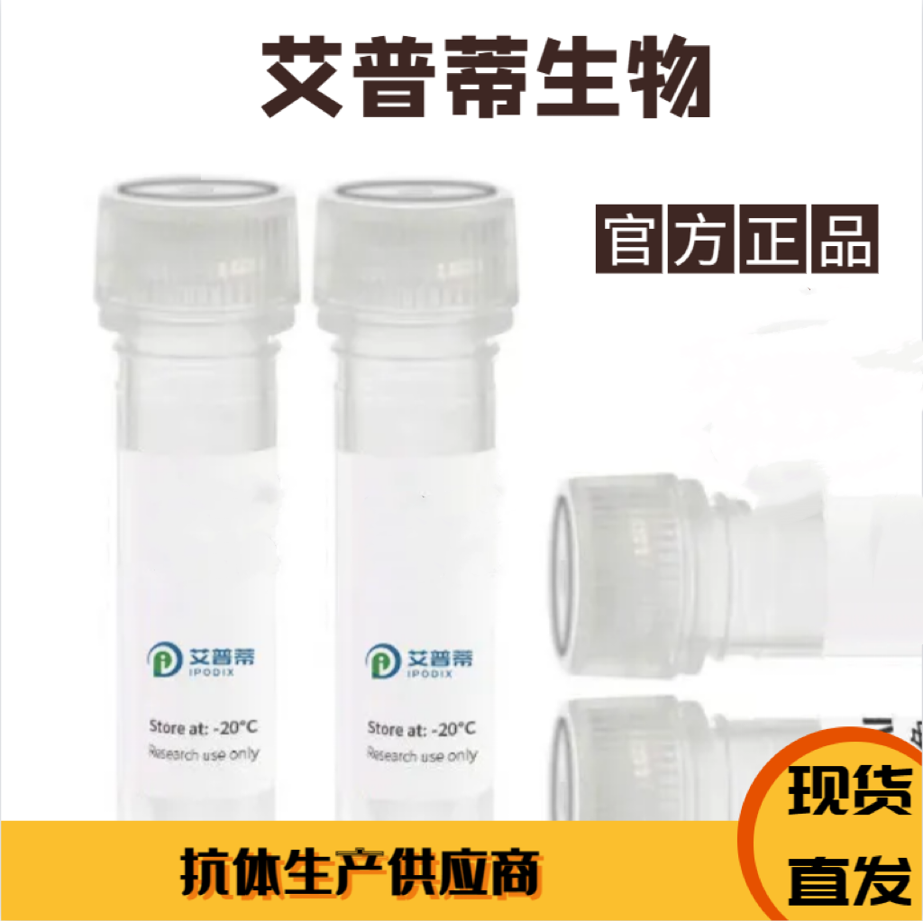 DROSHA抗体；DROSHA antibody 艾普蒂生物      