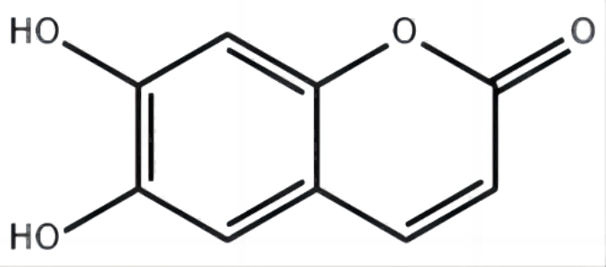 高纯度秦皮乙素