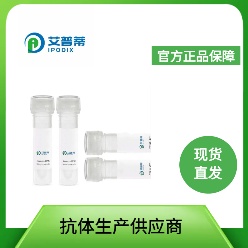 GPR149 抗体；GPR149  antibody 艾普蒂生物      