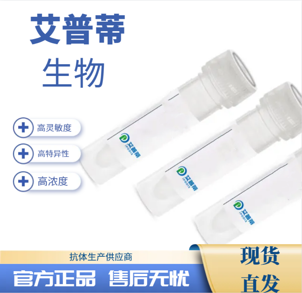 GPR176抗体；GPR176 antibody 艾普蒂生物      