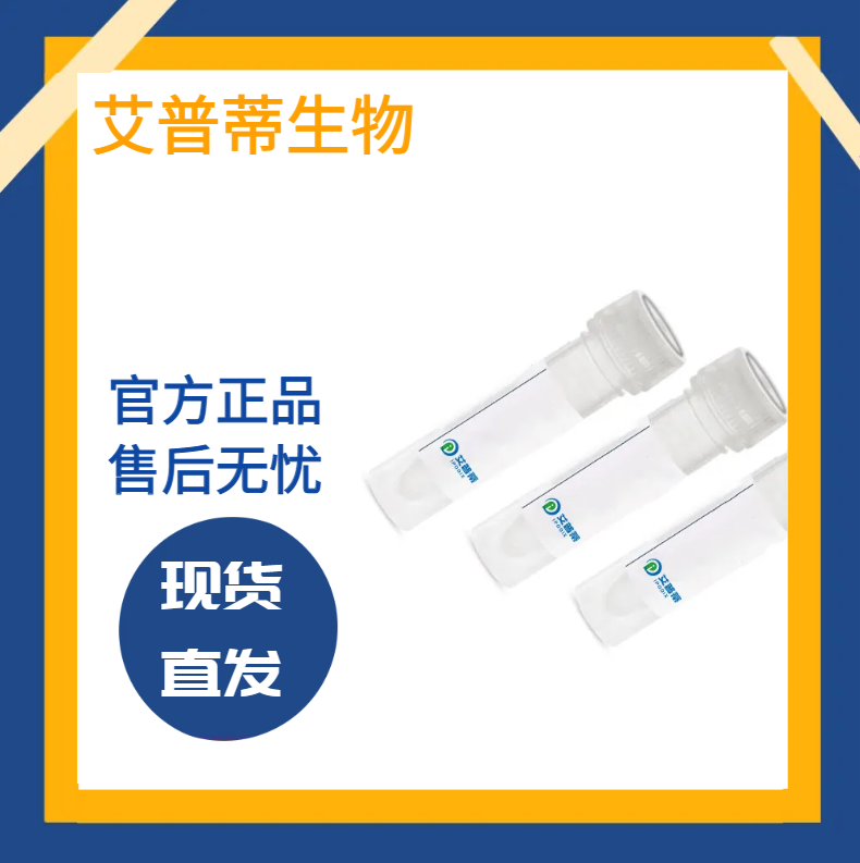 IFNLR1抗体；IFNLR1 antibody 艾普蒂生物      
