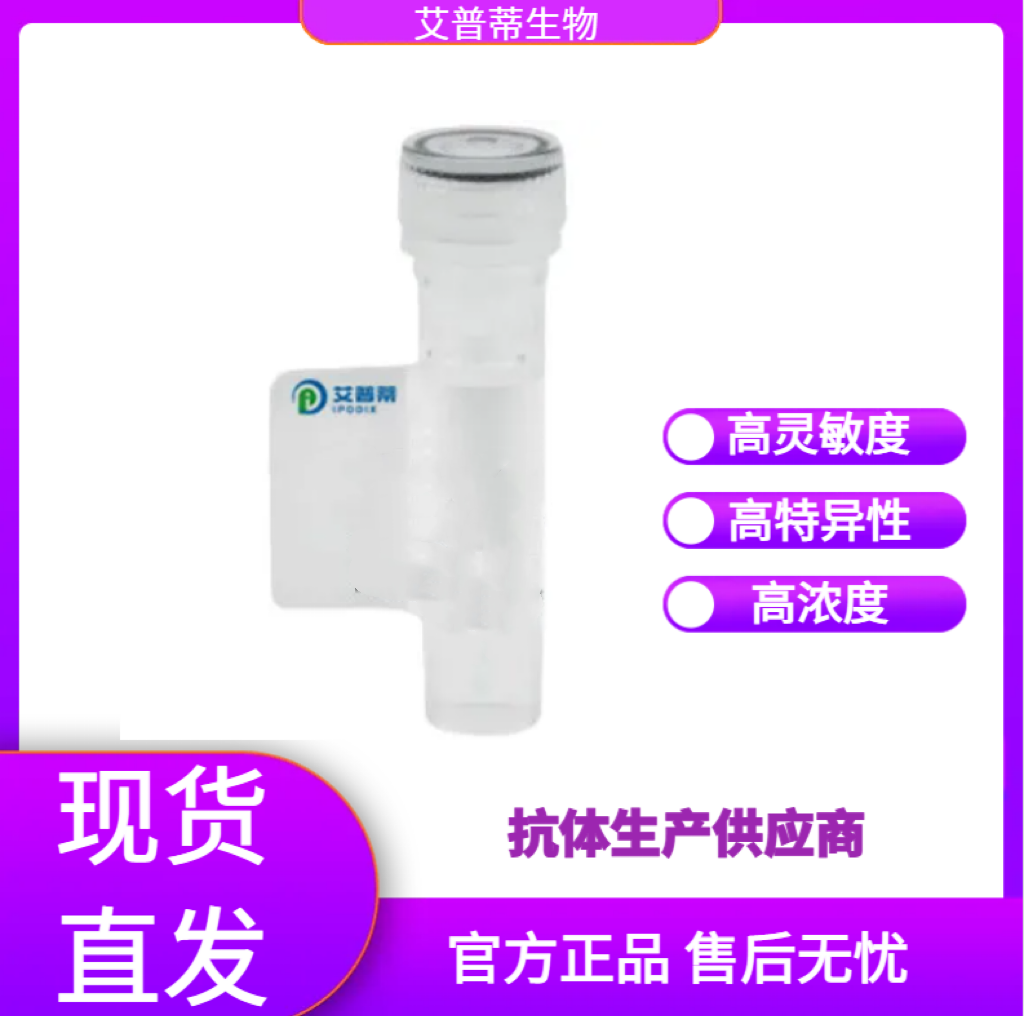 BCOR蛋白抗体；BCOR antibody  艾普蒂生物     