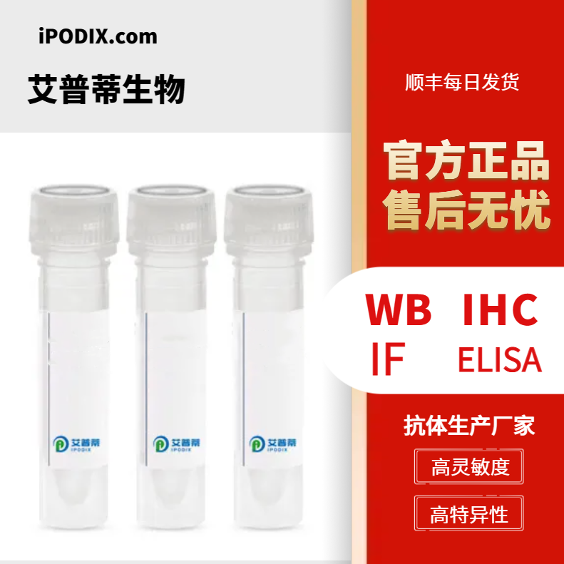 COL3A1蛋白抗体；COL3A1 antibody 艾普蒂生物         