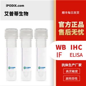 ENAH抗体；ENAH antibody 艾普蒂生物      