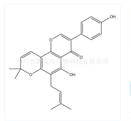 奥沙京