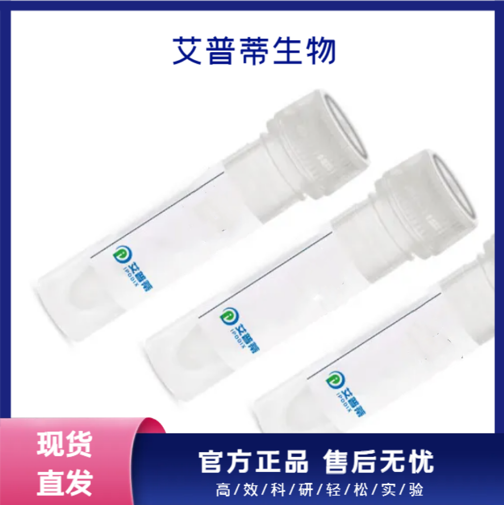 RPSA蛋白抗体；RPSA antibody  艾普蒂生物         