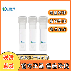  PRL蛋白抗体；PRL antibody  艾普蒂生物       