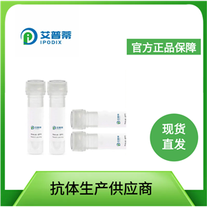 NAMPT蛋白抗体；NAMPT antibody 艾普蒂生物       