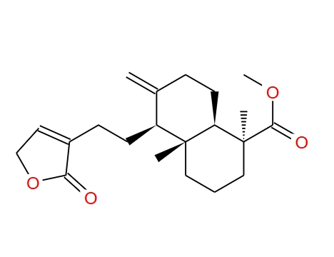 红松内酯