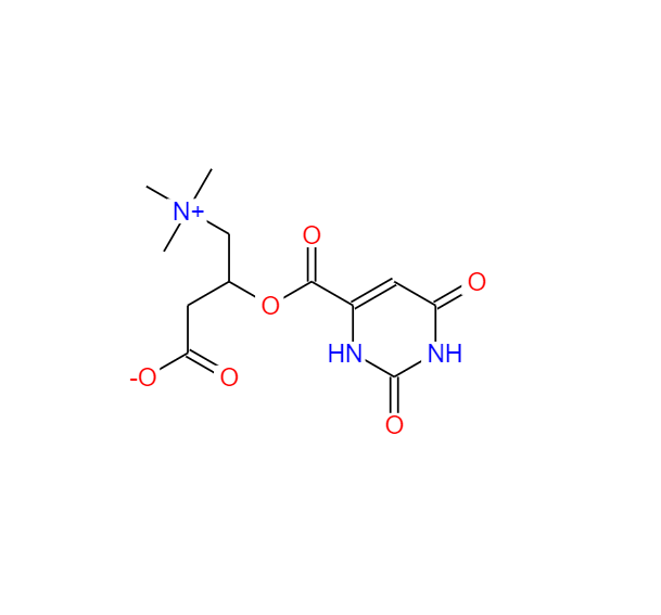 DL-肉碱乳清酸盐