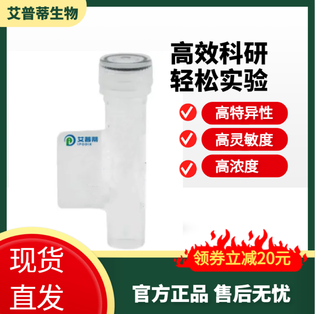 TYK2抗体；TYK2  antibody 艾普蒂生物        