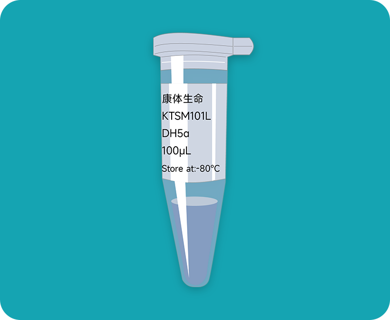 纳米抗体-感受态细胞DH5α