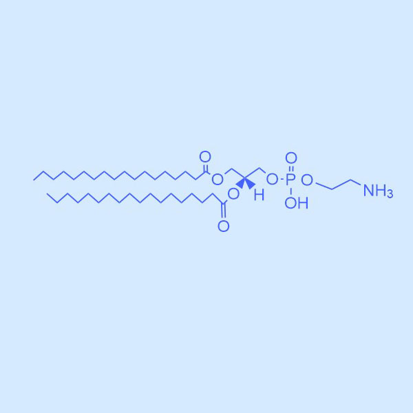 DSPE-Biotin 磷脂-生物素