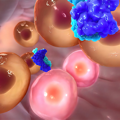 LAG-3报告基因细胞系/细胞株-ACROBiosystems百普赛斯