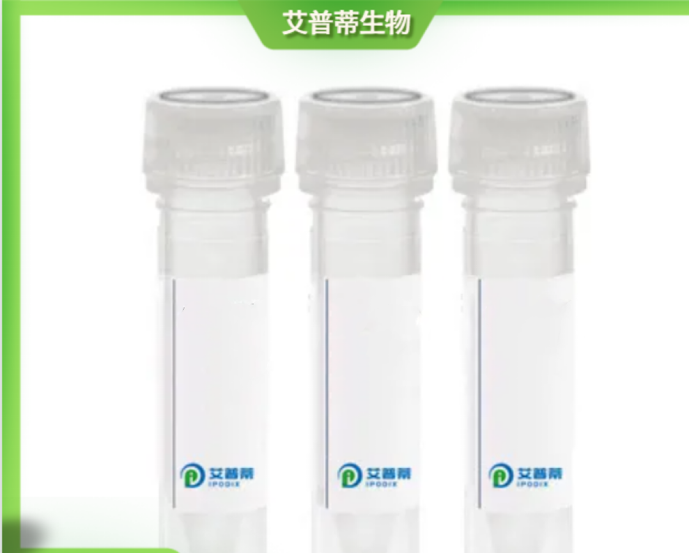 DYDC2抗体；DYDC2 antibody 艾普蒂生物        