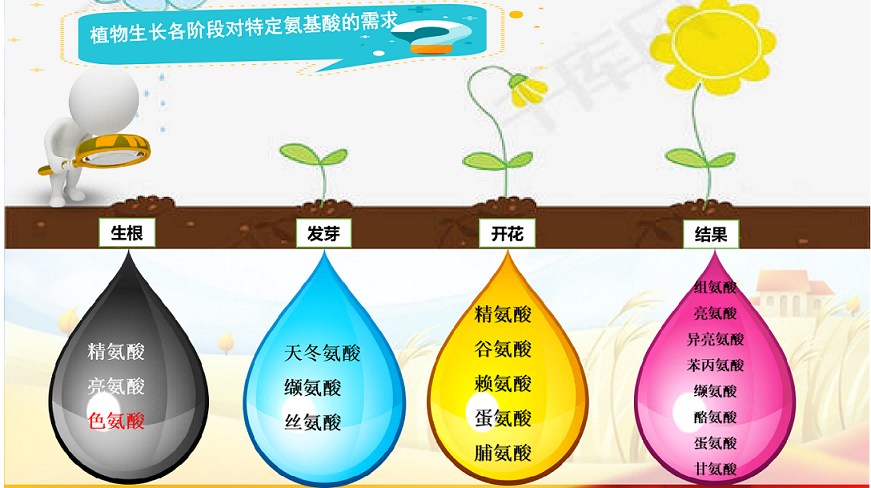 氨基酸螯合铜铁锌锰硼液 养分齐全 农用氨基酸