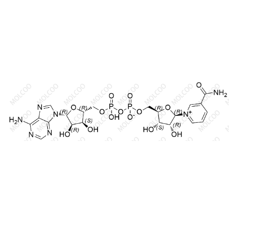 烟酰胺腺嘌呤 二核苷酸 1094-61-7  100-54-9  1453-82-3  1452-77-3 1986-81-8  	 59-67-6