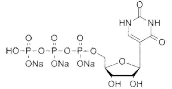 假尿苷三磷酸钠盐溶液pUTP