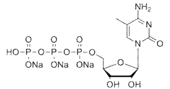 5-甲基胞苷5-Me-CTP