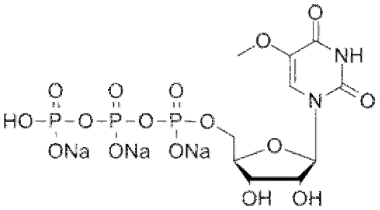 5-甲氧基尿苷5-OMe-UTP
