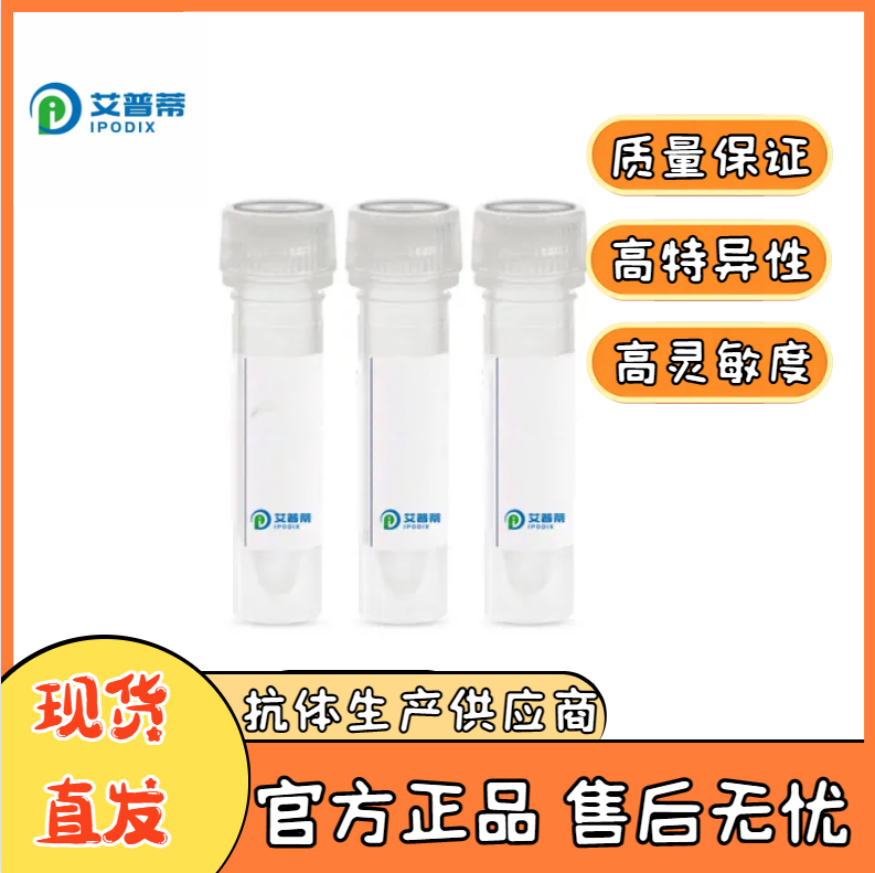 BPIFB1抗体；BPIFB1 antibody 艾普蒂生物        