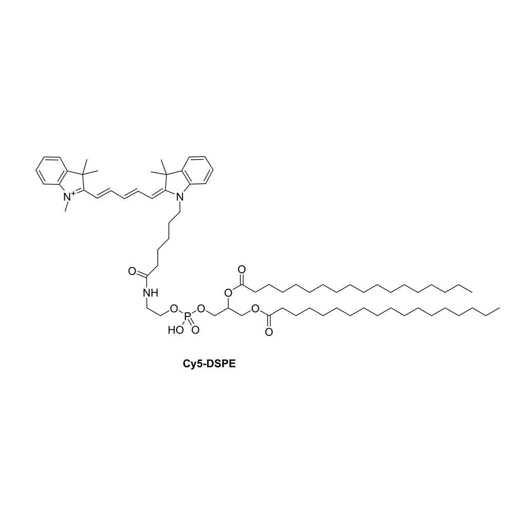 Cy5-DSPE