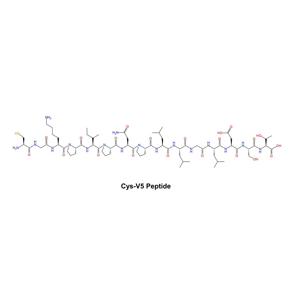 Cys-V5 Peptide?