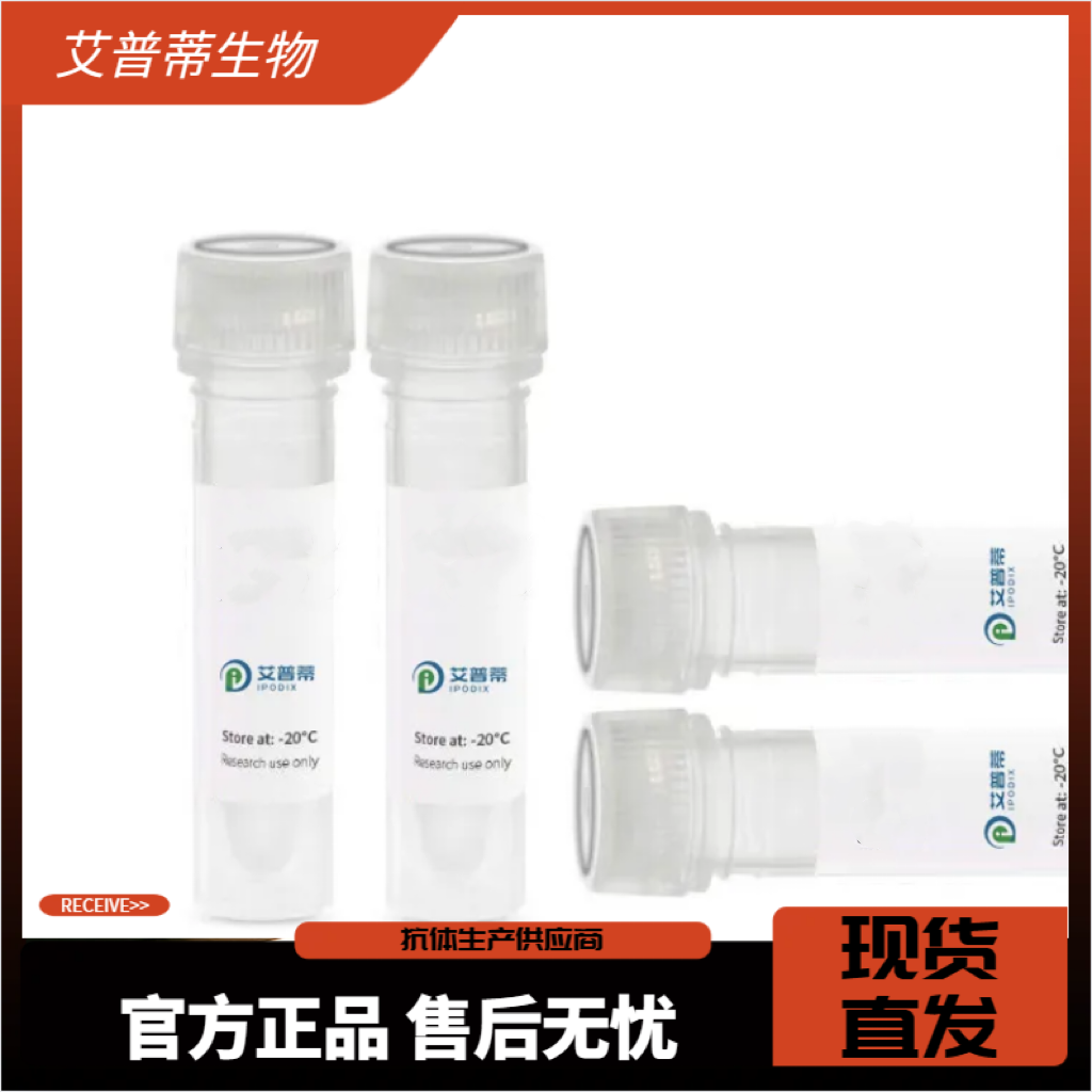 RNF24抗体；RNF24 antibody  艾普蒂生物
