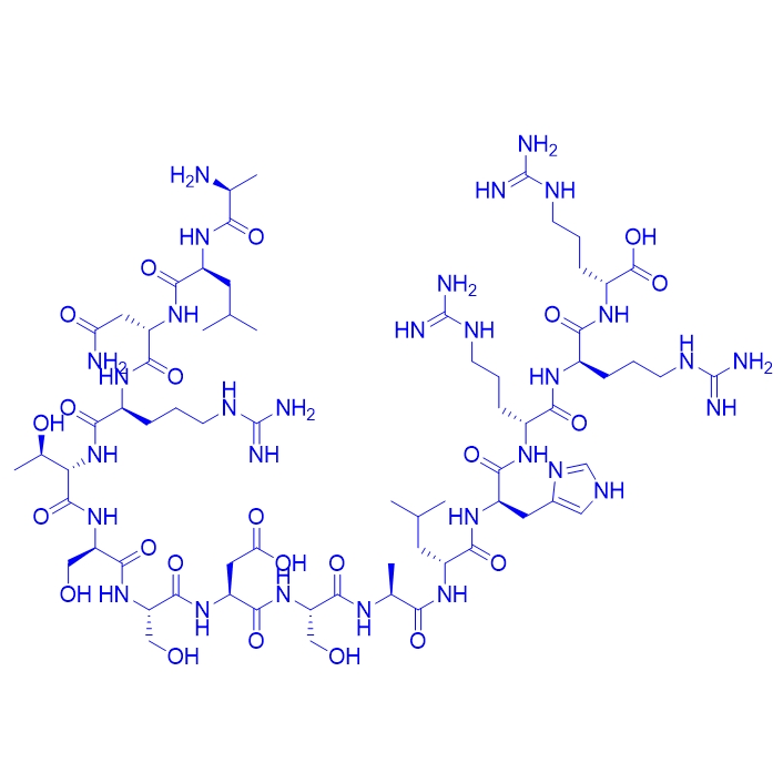 激酶家族成员肽底物多肽/Sakamototide substrate peptide