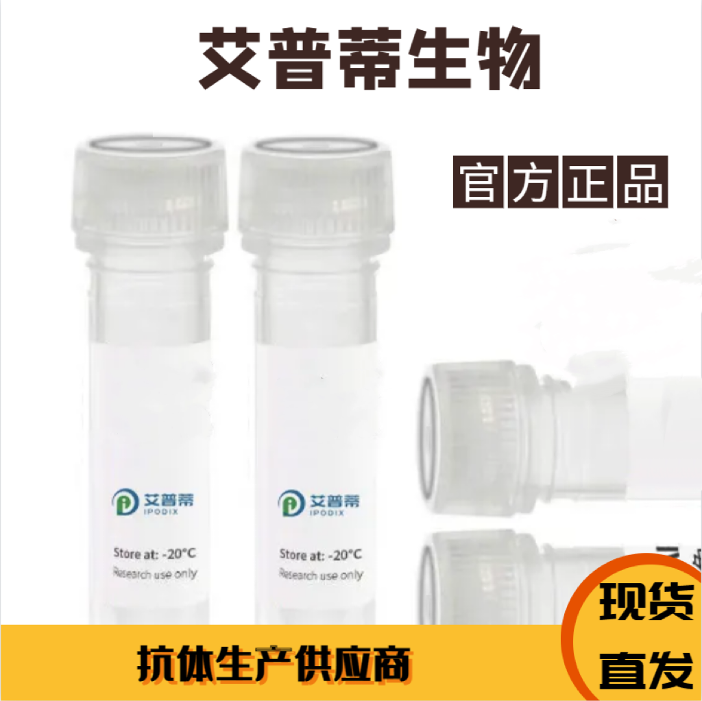PTPRS抗体；PTPRS antibody 艾普蒂生物     
