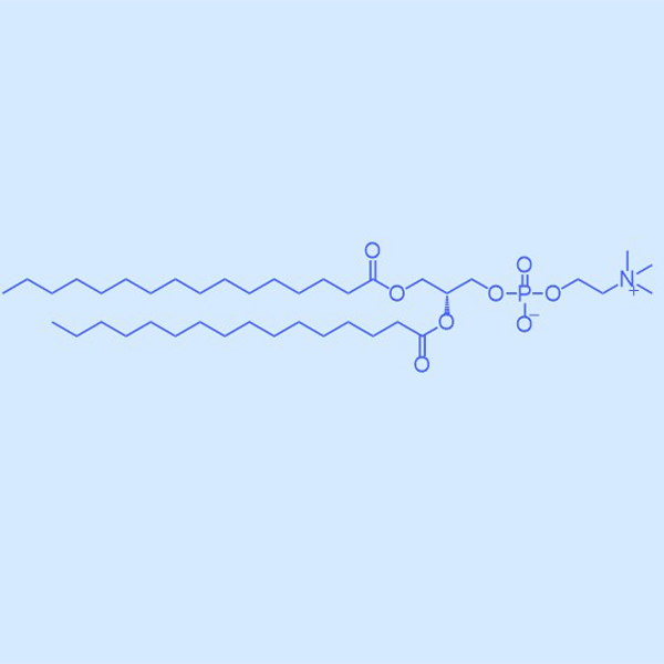 DPPC,二棕榈酰磷脂酰胆碱,63-89-8