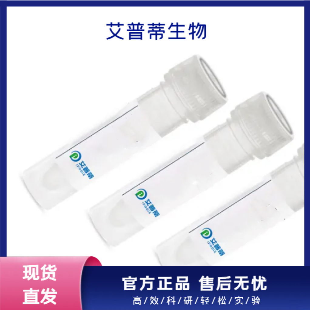 SPACA1抗体；SPACA1 antibody 艾普蒂生物     