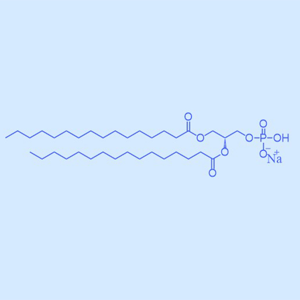 DPPA,二棕榈酰磷脂酸,169051-60-9