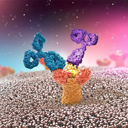 重组人Cathepsin B/CTSB蛋白-ACROBiosystems百普赛斯