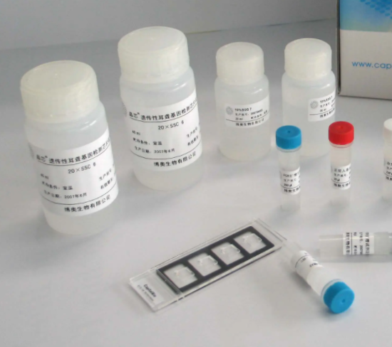鱼肌酸激酶(CK)ELISA试剂盒