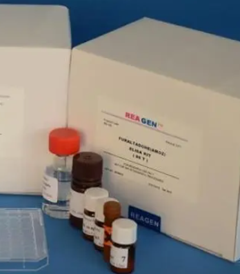 鱼白细胞介素8(IL-8)ELISA试剂盒