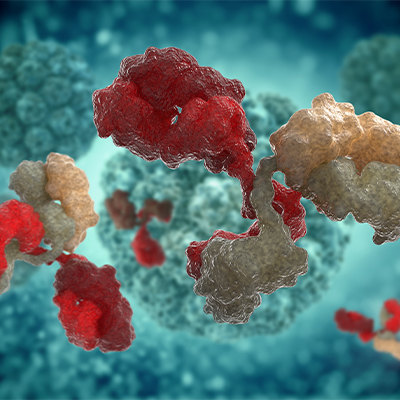 重组人整合素Integrin avb3蛋白-ACROBiosystems百普赛斯