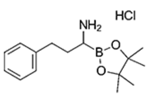 3020710-54-4；3-Phenyl-1-(4,4,5,5-tetramethyl-1,3,2-dioxaborolan-2-yl)propylamine hydrochloride
