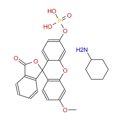 3-O-甲基荧光黄磷酸盐单环己基铵盐