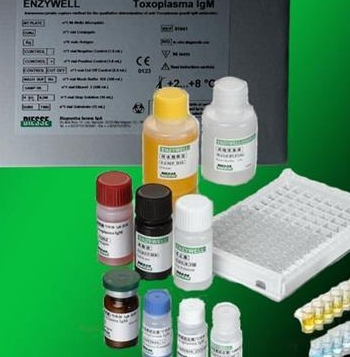 小鼠免疫球蛋白G2c(IgG2c)ELISA试剂盒