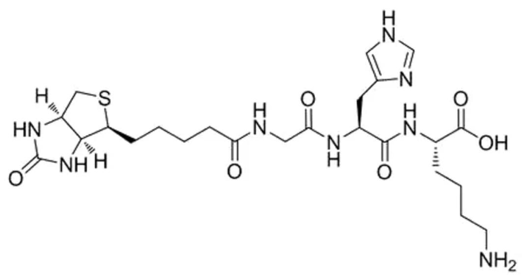 生物素三肽-1.jpg