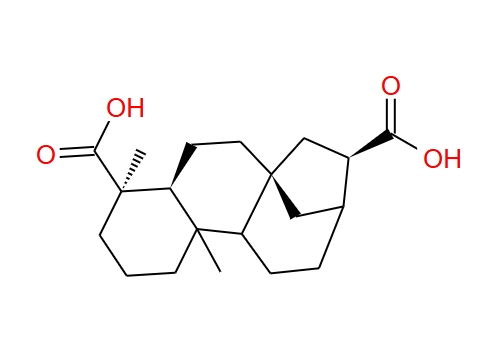 ENT-贝壳烯烷-17,19-二酸