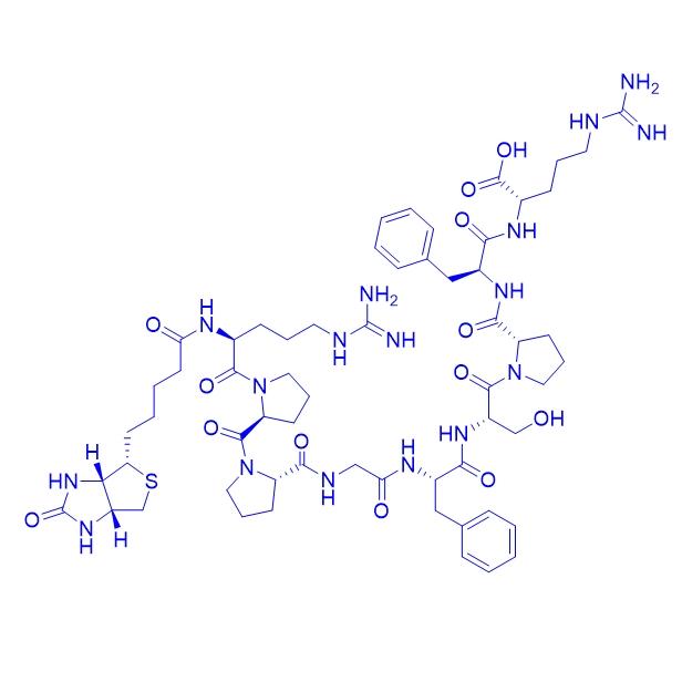 Biotin-Bradykinin 477319-71-4.png