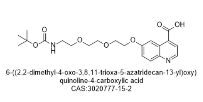 "6-((2,2-dimethyl-4-oxo-3,8,11-trioxa-5-azatridecan-13-yl)oxy) quinoline-4-carboxylic acid "