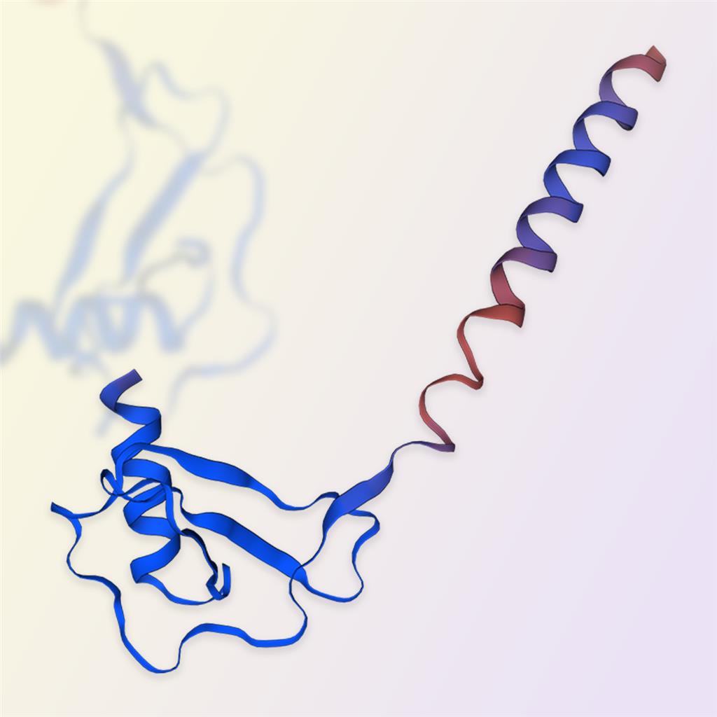 CCL3/MIP-1蛋白-ACROBiosystems百普赛斯