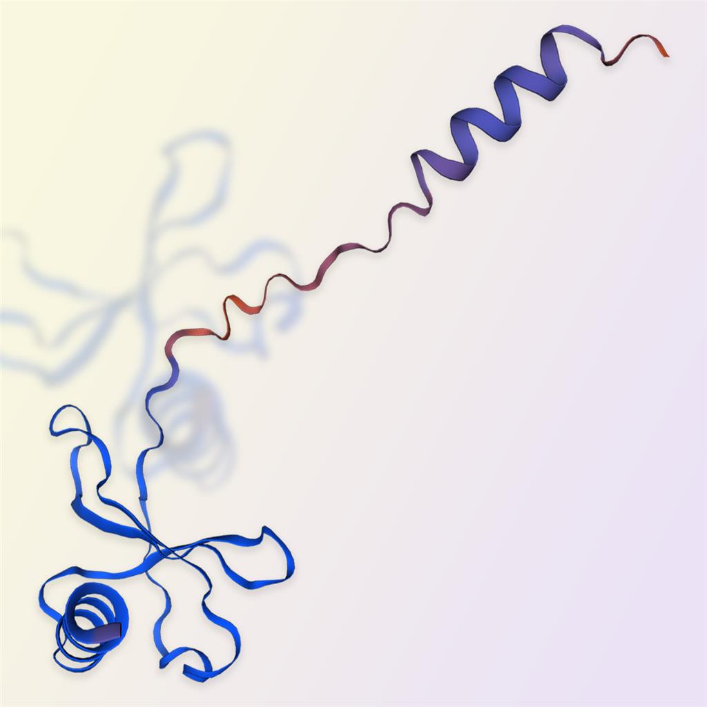 CCL5/RANTES蛋白-ACROBiosystems百普赛斯