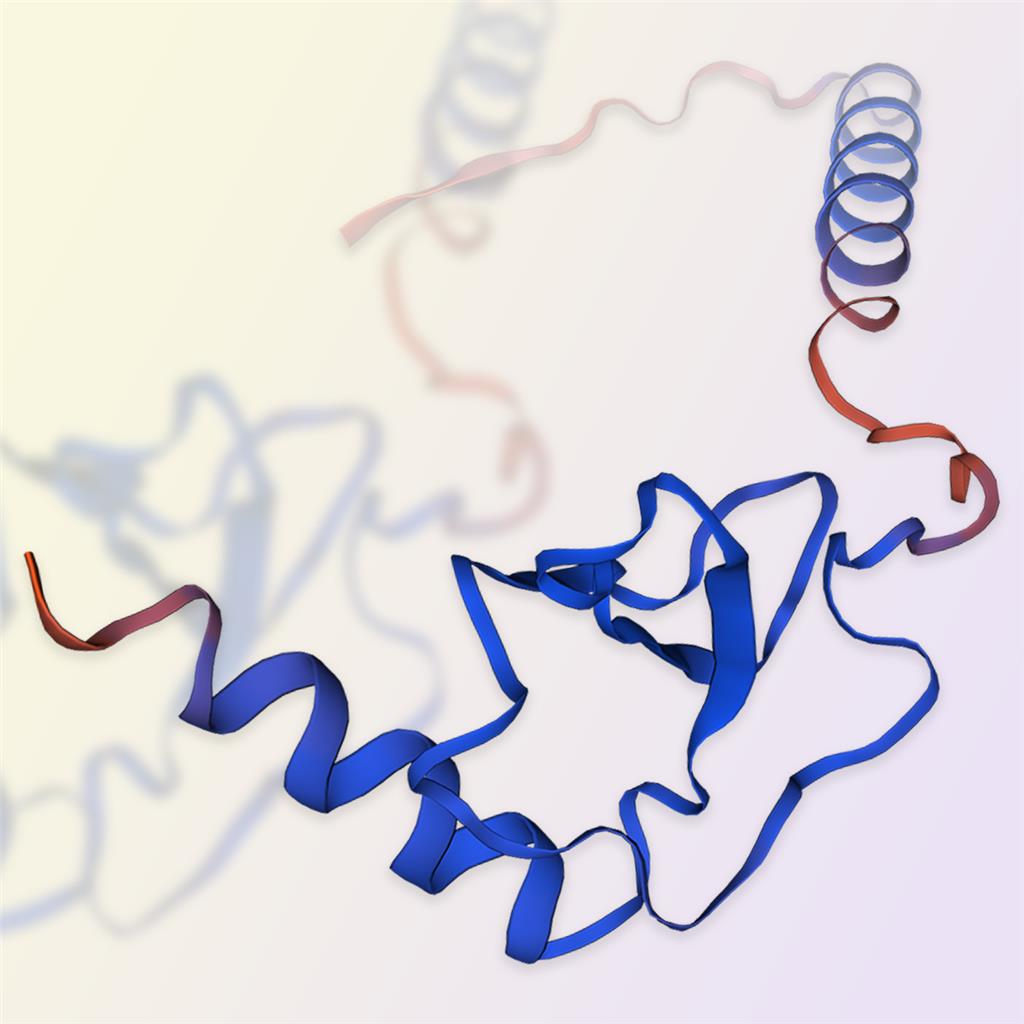 CXCL13蛋白-ACROBiosystems百普赛斯