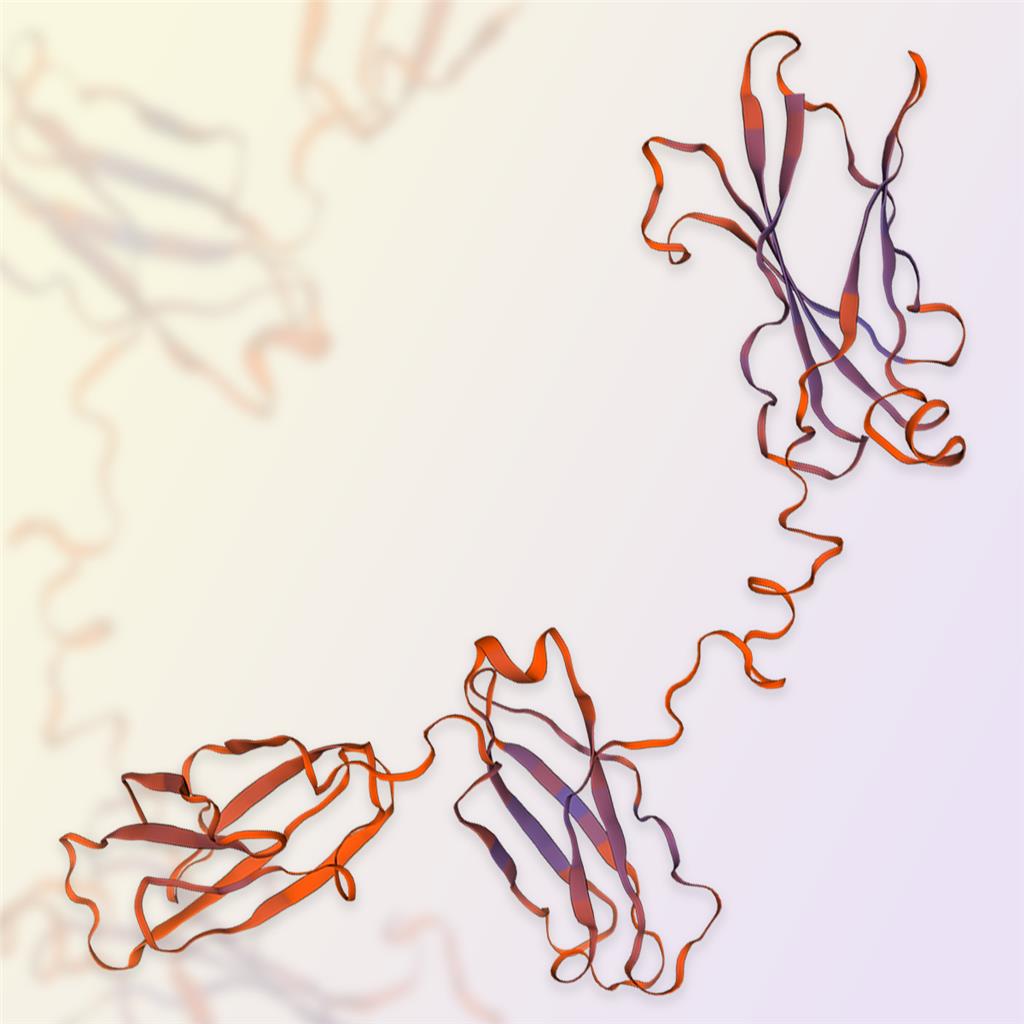 GM-CSF R alpha蛋白-ACROBiosystems百普赛斯