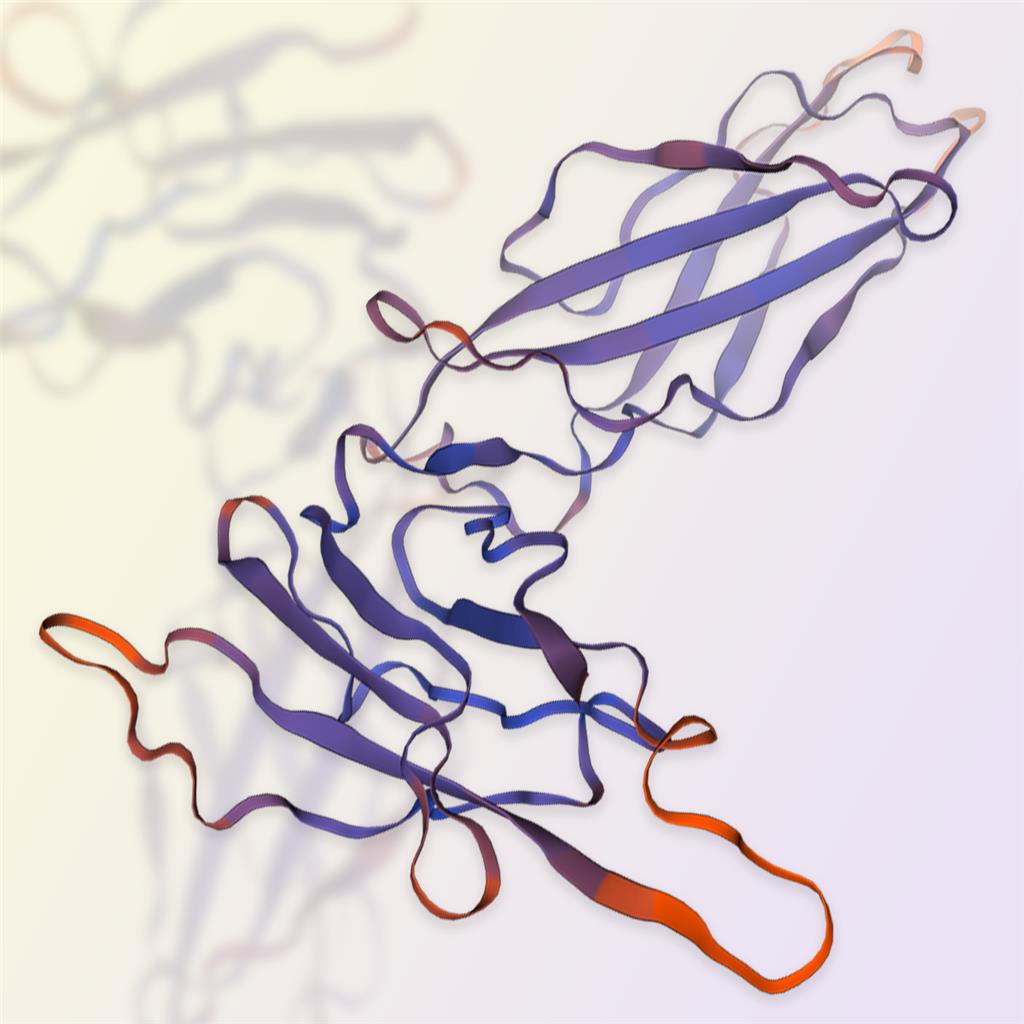 Growth Hormone R，ACROBiosystems百普赛斯