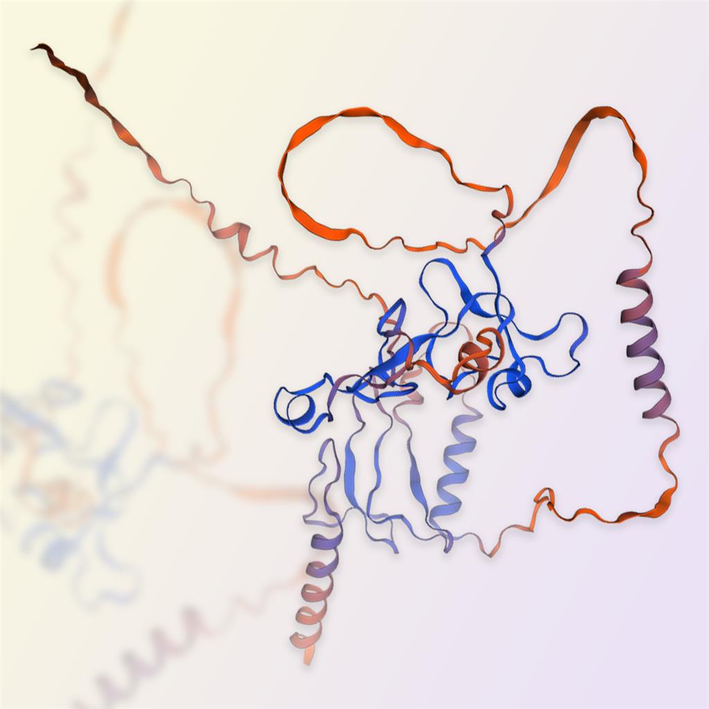 IGFBP2蛋白-ACROBiosystems百普赛斯